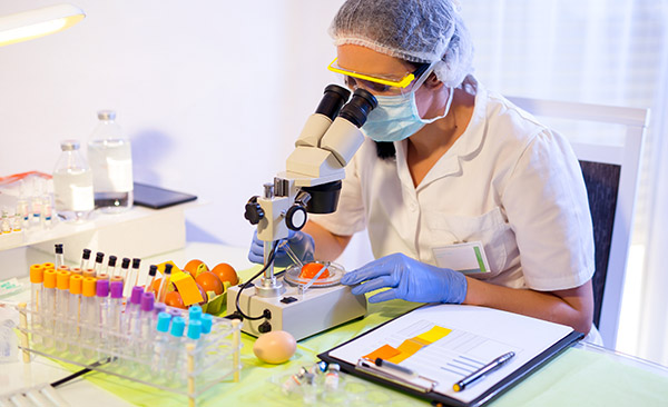 政府5.jpg 政府5.jpg